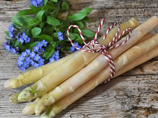 Unsere Mieterfahrt im Mai!