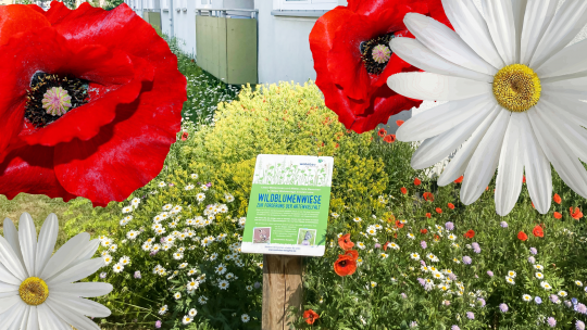 Rollator und Parkbank