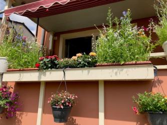 1. Preis: Mareile Bagdenand 