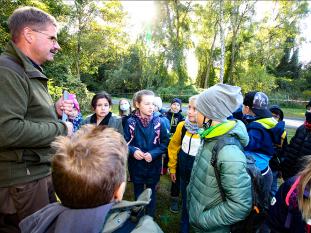 Grundschüler lernen Fuchs und Hase kennen