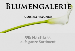 Die Einrichtungsberaterin